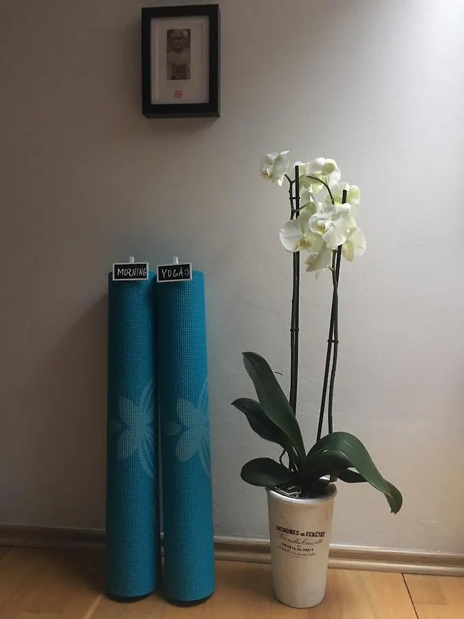 Amazing Angie'S Apartment 프라하 0*,  체코